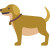 Březí a kojící feny