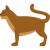 Březí a kojící kočky