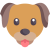 Dospělí psi